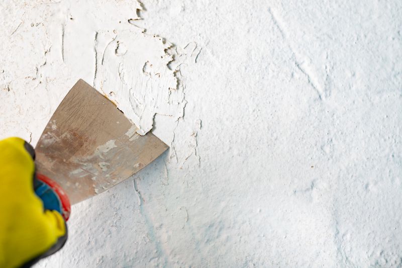 Metal Paint Stripping