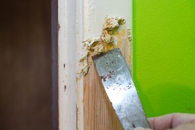 Metal Paint Stripping Cost Analysis — Cost of Metal Paint Stripping